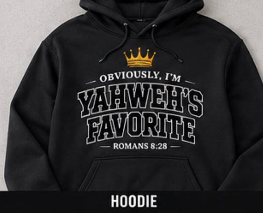 Obviously, I’m Yahweh’s Favorite Hoodie | Romans 8:28 | Christian Faith Pullover Hoodie